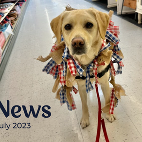 News! July 2023