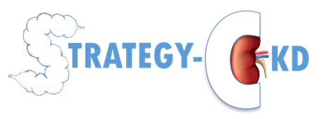 STRATEGY-CKD project logo