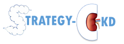 logo STRATEGY-CKD.png