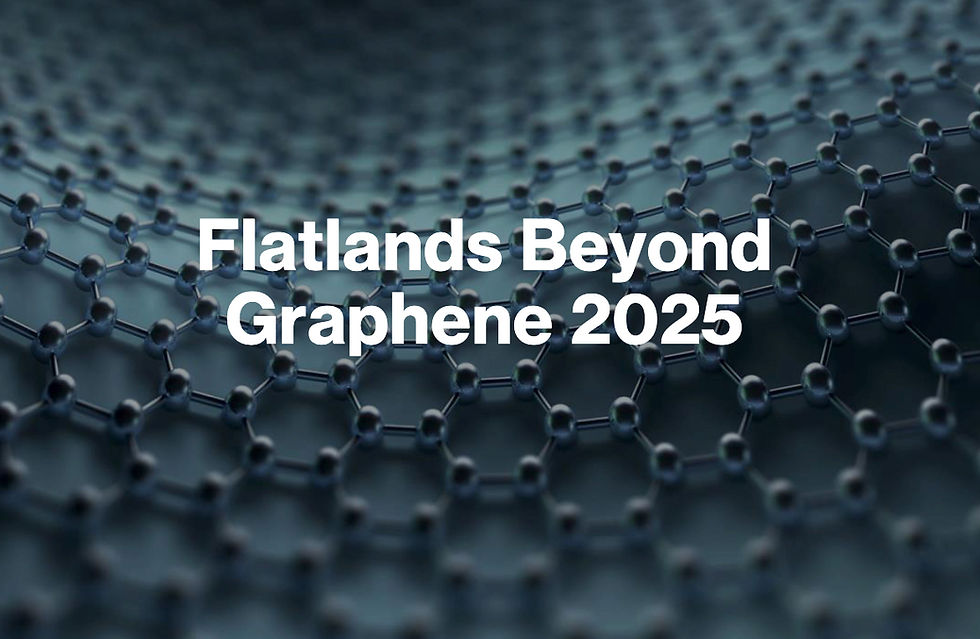 L2D2 at Flatlands Beyond Graphene 2025: project representation by Prof. Naveh