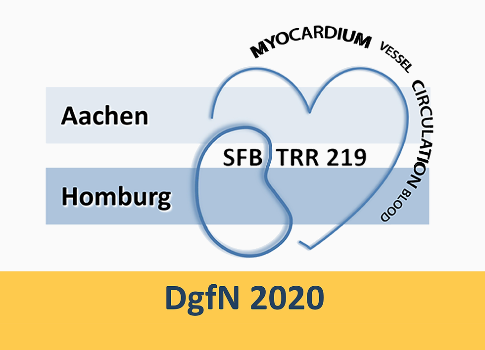 SFB/TRR219 session @ DgfN congress 2020