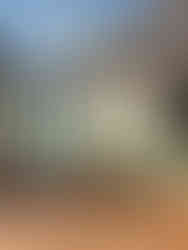 girl in bathing suit reading a book on the wooden patio surrounded by the blue pool and white hotel buildings of Hotel Punta Caliza in Holbox, Mexico