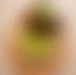 a green corn soup with bread plated from restaurant Milpa in Holbox Mexico