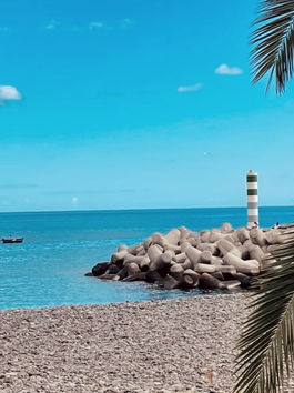 Madeira, Portugal: Europe's Hawaii