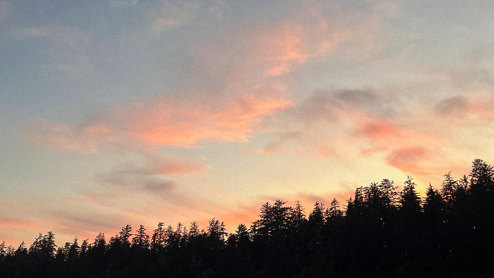sunset_edited.jpg
