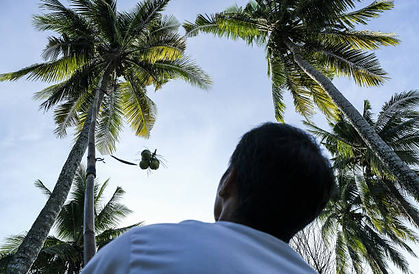 gettyimages-1236216864-612x612.jpg