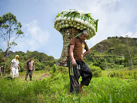 gettyimages-521663568-612x612.jpg