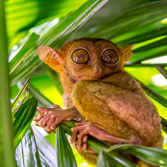 istockphoto-619238666-612x612.jpg