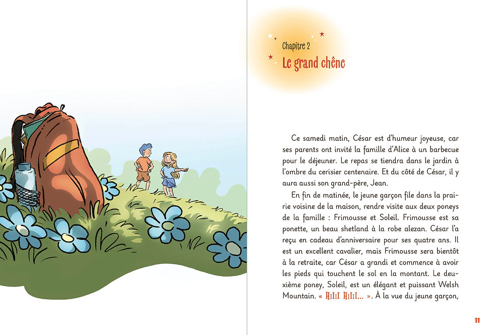 Miniature : L’incroyable secret d’Alice et César - Collection Flash magique –  tome 1