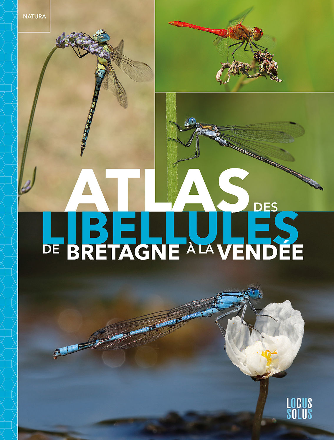Atlas des libellules de la Bretagne à la Vendée
