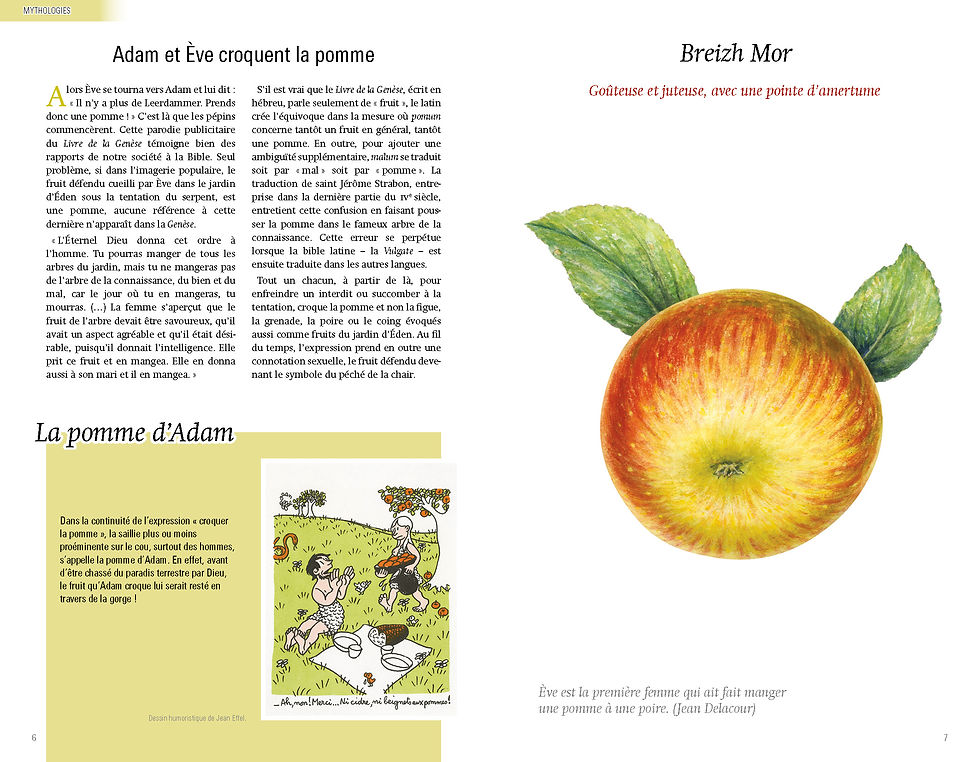 Miniature : Tomber dans les pommes