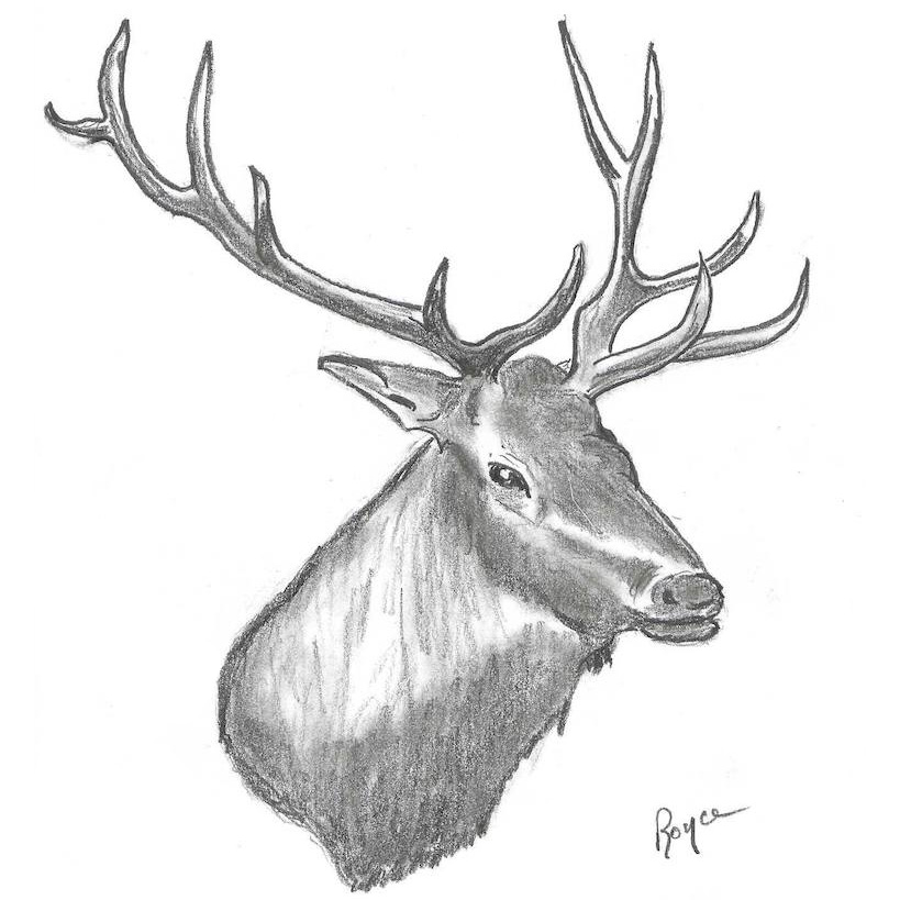 Elk Creek Country Club logo