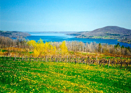 IMG_20170111_0001 copy