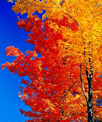 IMG_20170228_0005 copy