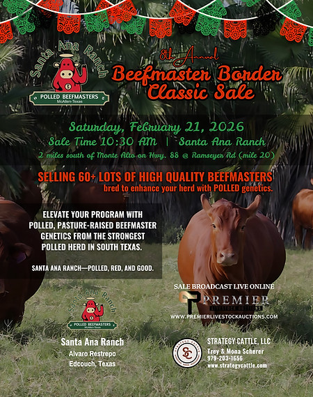 2026 Beefmaster Border Classic Sale - Beefmaster Cowman Ad (2).jpeg