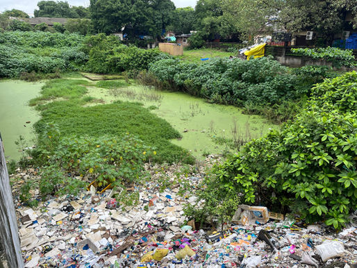 Waste Not, Want Not – How Waste Segregation and Composting Can Work in Slums