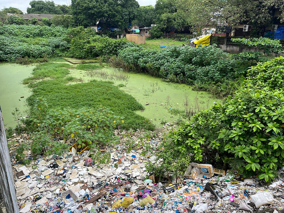 Waste Not, Want Not – How Waste Segregation and Composting Can Work in Slums