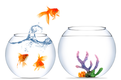 Fish Out Of Water.png
