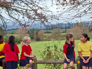 Newsletter Term 2, Issue 1 2026