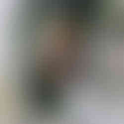 ✧Sculptures/Traditional✧