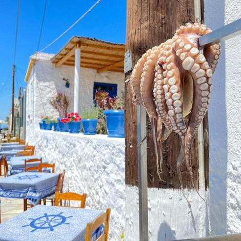 aegina-food.jpeg