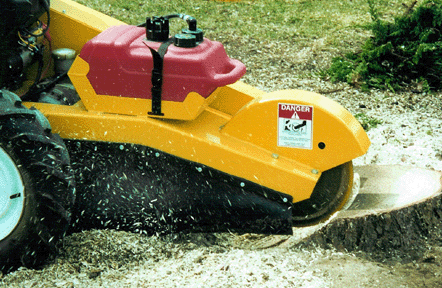 Stump Grinding. Worcester Tree surgeon. Worcester tree removal, tree pruning.