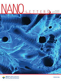 NanoLetters.jpg