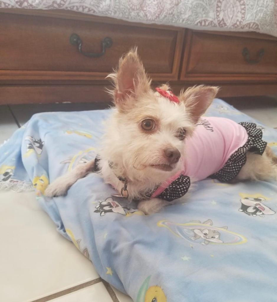 Estrella