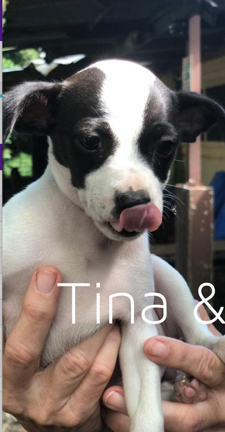 Tina