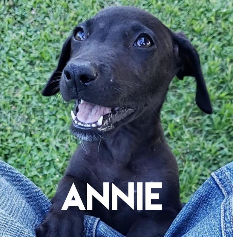 Annie