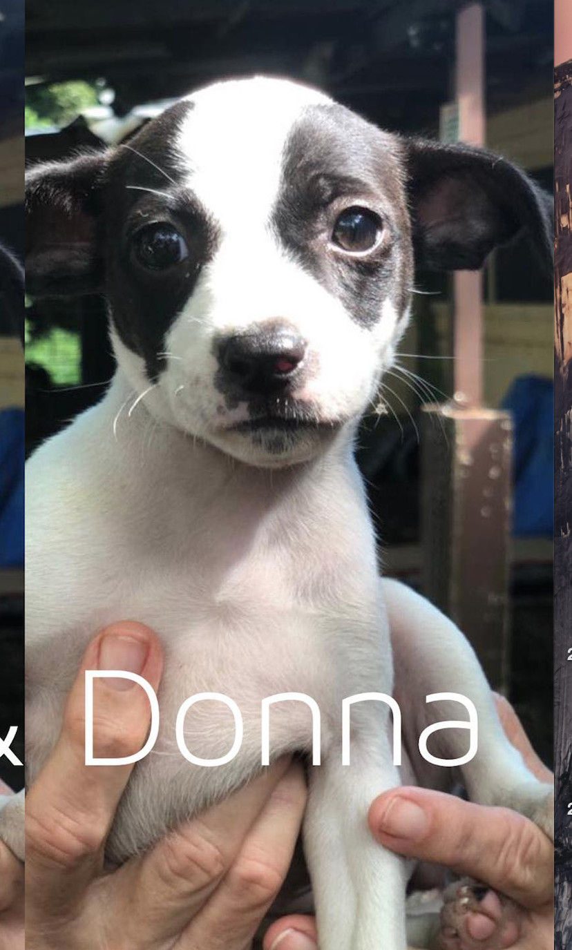 Donna