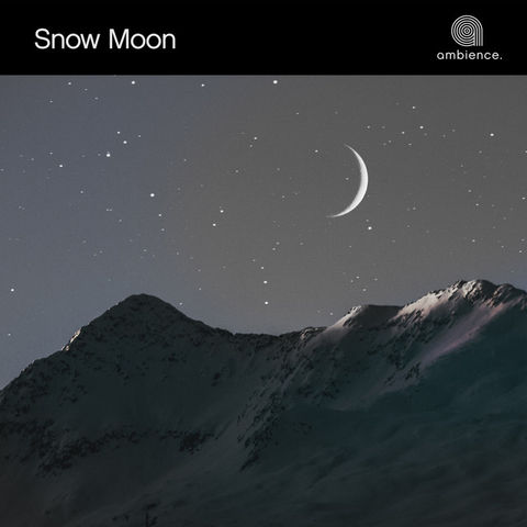 Snow Moon.jpeg