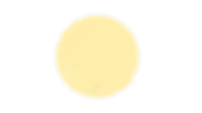 Untitled design (13).png