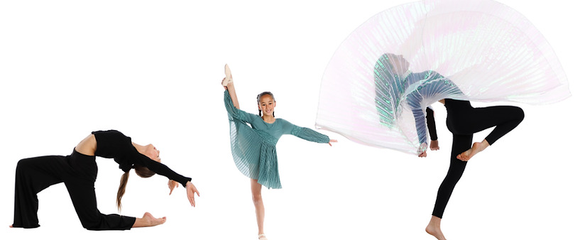 SOD Website • Ballet.png