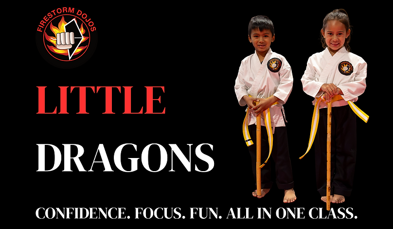 FIRESTORM MARTIAL ARTS (3).png