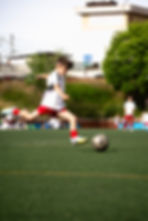 _DSC1000 copia.jpg