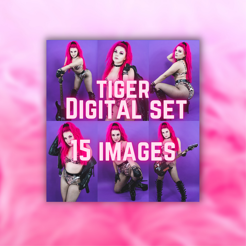 Tiger - 15 Image Digital Set