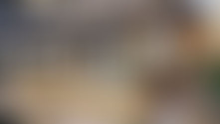 Ellery Beach House, Lidingö - Nybyggnation