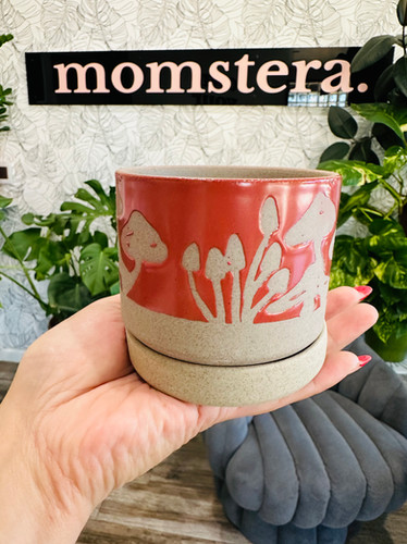 Scavenger Pot
