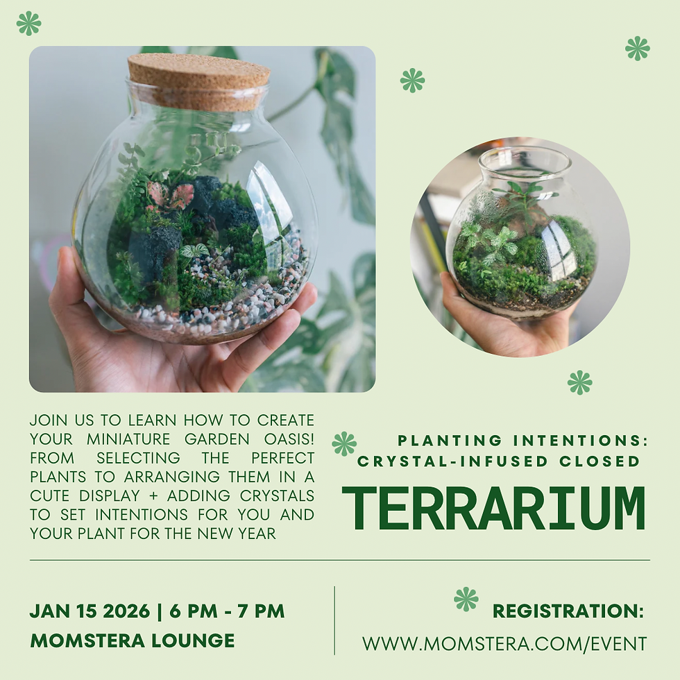 Planting Intentions: Crystal- Infused Closed Terrarium