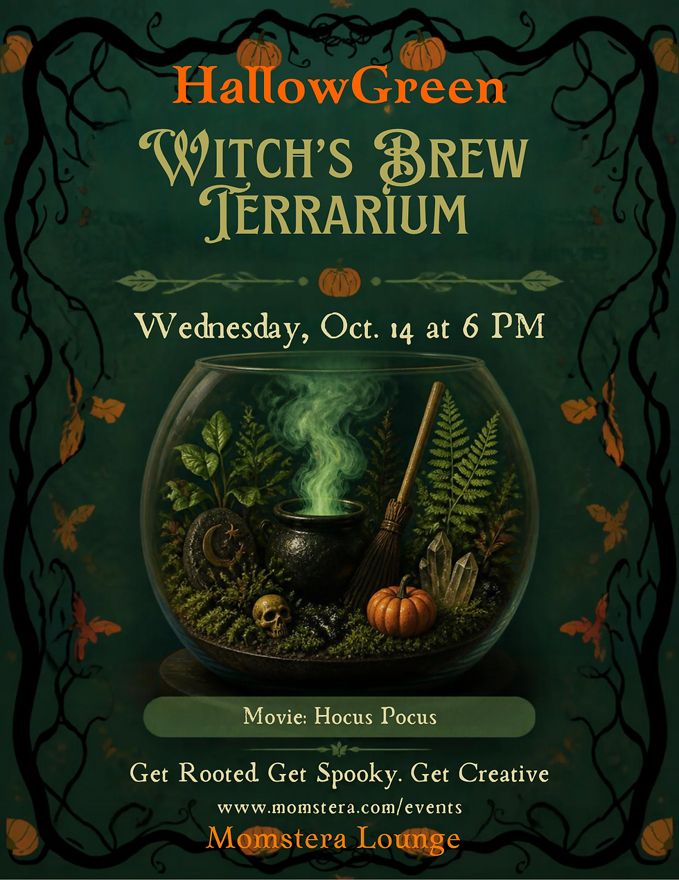 Witch’s Brew Terrarium+ Hocus Pocus: 5 Days of HallowGreen + Halloween Movie