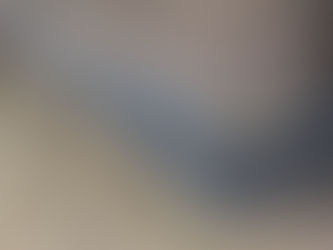 Comprehensive Damp Proofing Solutions by LC Joinery Scotland