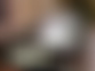 The Benefits of Adding a Cupola to Your Roof