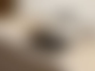 The Benefits of High-Quality Kitchen Appliances: What Windsor Interiors Offers