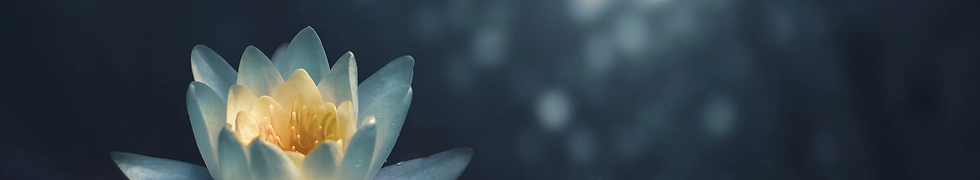 flowerbanner.webp