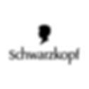 Schwarzkopf.png