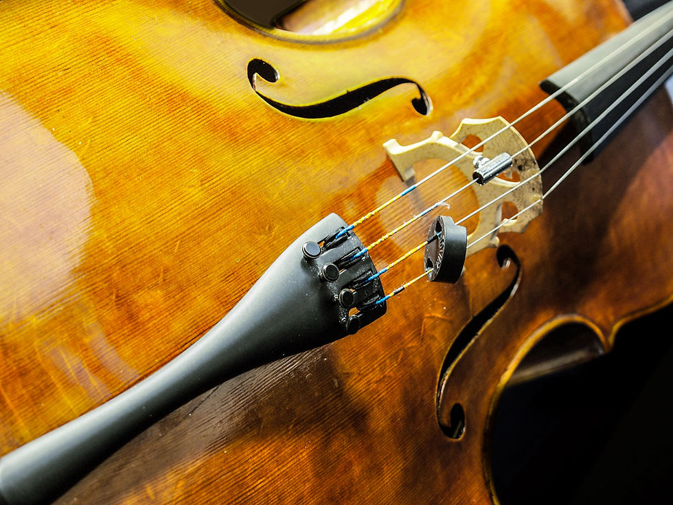 Ciclo de Audiciones | VIOLONCELLO