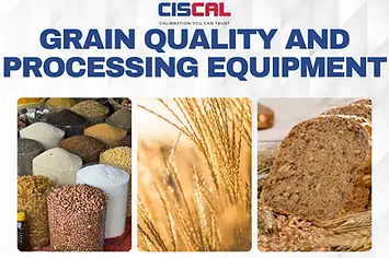 Grain Quality and Processing.webp
