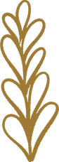 Hila-Tako-Graphic-Elements-001)M(.png