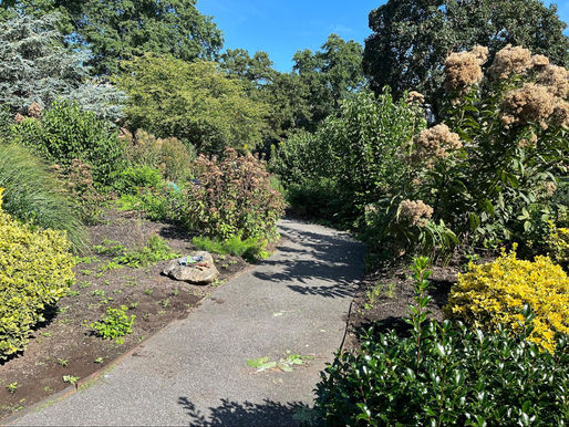 Native Plant Garden Redesigned to Benefit Natural Pollinators